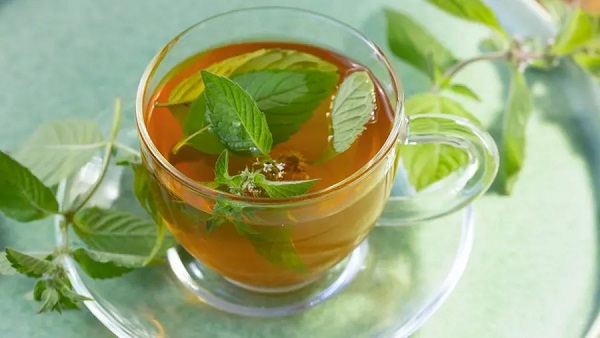 Mint Tea Benefits: बदलते मौसम में छू भी नहीं पाएगी बीमारियां, आज से करें इस चाय का सेवन…