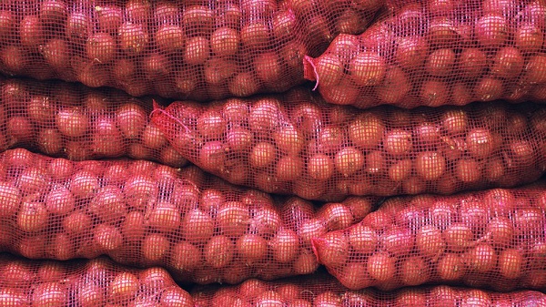 Onion Export: यूएई, मॉरीशस समेत 6 देशों को प्याज निर्यात की सरकार ने दी मंजूरी