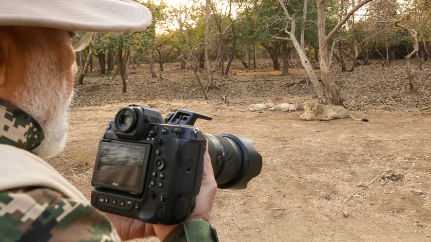 PM Modi clicked photos in Gir: प्रधानमंत्री मोदी आज गिर में सफारी के दौरान शेरों और प्राकृति के सुन्दर फोटो क्लिक किए; देखे तस्वीरें 1 PM Modi clicked photos in Gir