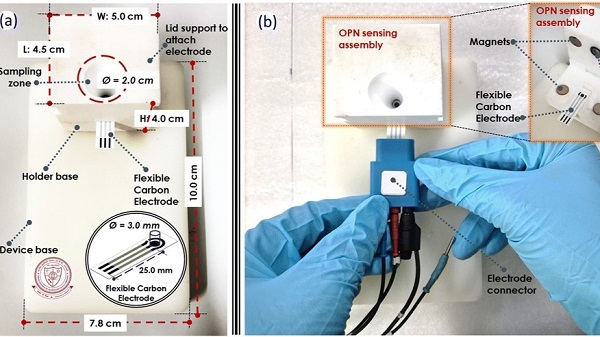 Device to prevent bone cancer: आई आई टी बी एच यू के वैज्ञानिकों ने खोजा हड्डी के कैंसर से बचाव हेतु डिवाइस 1 Device to prevent bone cancer: आई आई टी बी एच यू के वैज्ञानिकों ने खोजा हड्डी के कैंसर से बचाव हेतु डिवाइस