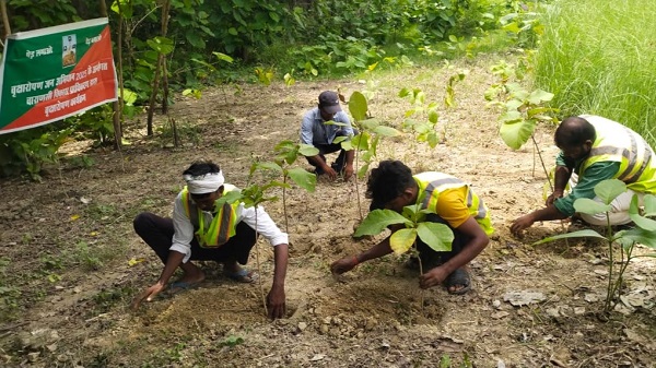 VDA Tree Planting Campaign: पर्यावरण को स्वच्छ करने हेतु वाराणसी विकास प्राधिकरण ने लगाये 3600 पौधे 1 Tree plant