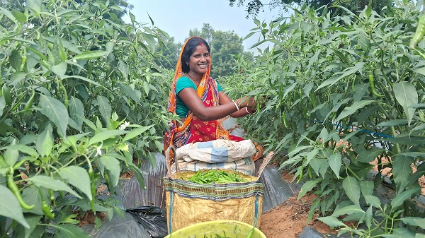 Jharkhand Lakhpati Didi: लखपति दीदी की सूची में शामिल हो रहीं ग्रामीण महिलाएँ 3 Jharkhand Lakhpati Didi