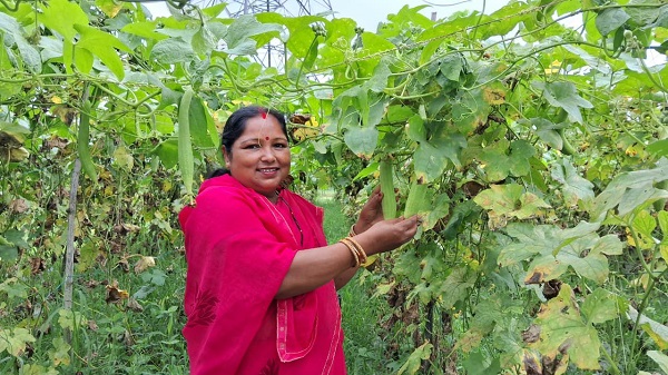 Jharkhand Lakhpati Didi: लखपति दीदी की सूची में शामिल हो रहीं ग्रामीण महिलाएँ 4 Jharkhand Lakhpati Didi