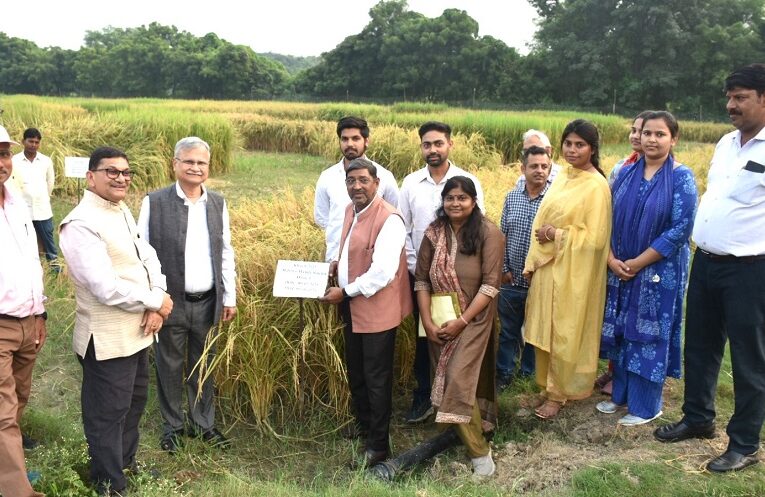 Agricultural scientists of BHU: बी एच यू के क़ृषि वैज्ञानिकों ने तैयार किया धान की उत्कृष्ट किस्में 1 Agricultural scientists of BHU: बी एच यू के क़ृषि वैज्ञानिकों ने तैयार किया धान की उत्कृष्ट किस्में