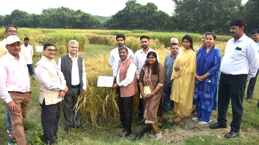 Agricultural scientists of BHU: बी एच यू के क़ृषि वैज्ञानिकों ने तैयार किया धान की उत्कृष्ट किस्में 1 Agricultural scientists of BHU 1